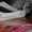 сноуборд Zena 157 c креплениями и ботинками Head - Изображение #2, Объявление #101277