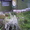Продам или обменяю загородный дом в Мысках в живописном месте - Изображение #1, Объявление #389898