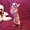 Котеночек Канадского сфинкса - Изображение #2, Объявление #486867