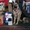 Продаются щенки ВЕО от Лучших производителей Сибири - Изображение #6, Объявление #1130583