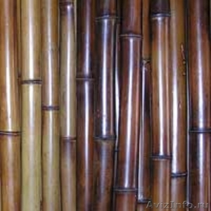 Бамбук - стволы и половинки - Изображение #1, Объявление #72429