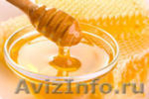 Мёд алтайский, разноравье - Изображение #1, Объявление #345424