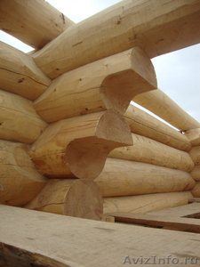 Срубим деревянный кедровый дом - Изображение #1, Объявление #989756